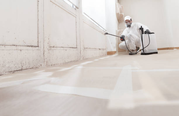 24/7 Emergency Mold Cleanup experts in Arcadia, MI