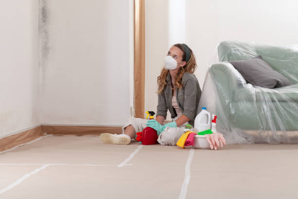 Reliable Mold Cleanup contractor in Arcadia, MI by Cheap Mold Removal